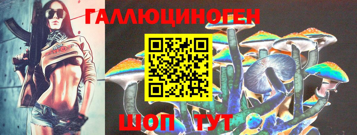 Псилоцибиновые грибы прущие грибы Каспийск