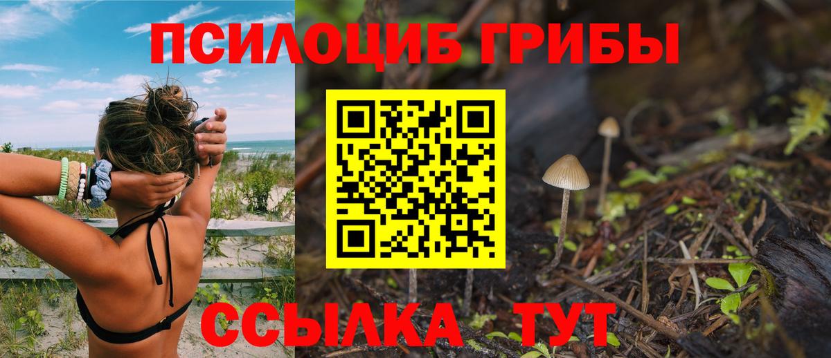 Галлюциногенные грибы Psilocybine cubensis  Вход с VPN  Каспийск 