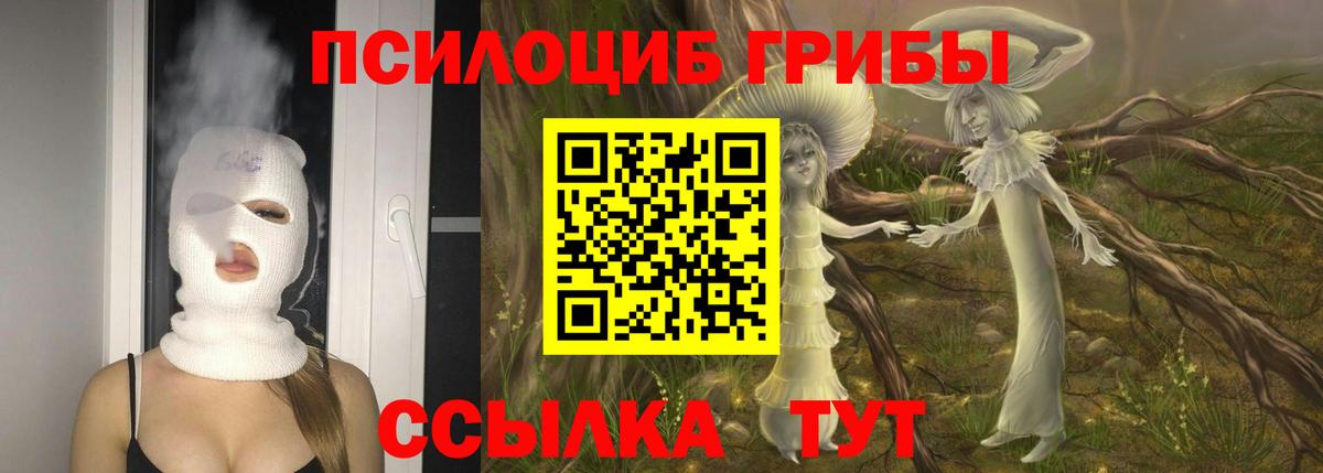 APVP СК   Конопля  Каспийск  ГАШИШ  Вход с VPN  LSD-25  МЕФ   КОКАИН 